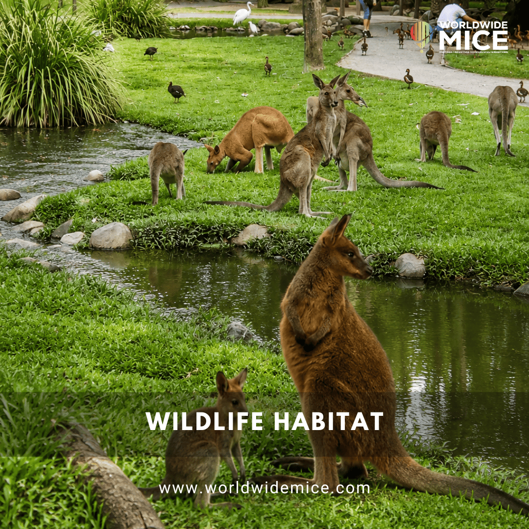 Wildlife Habitat